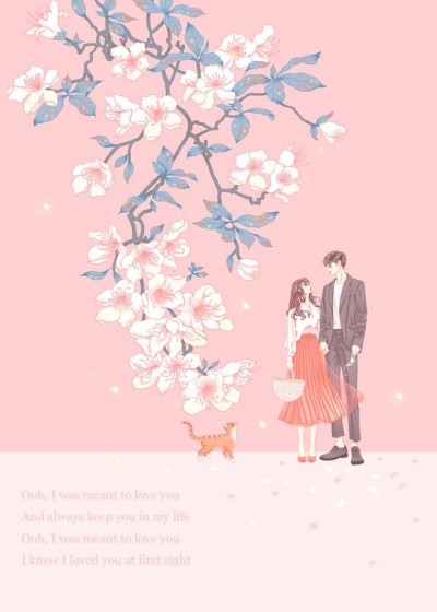 Ҷ�Ʒ�������